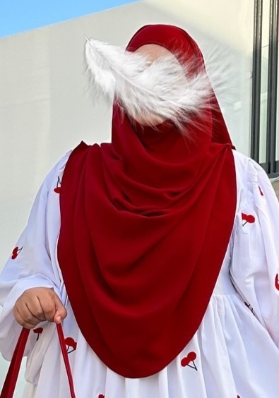 Hijab Collection For Womens