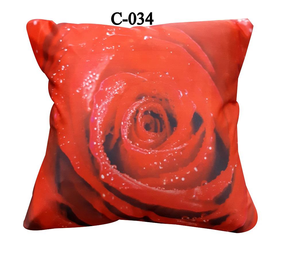 Digital Print Cushion Cover (1)