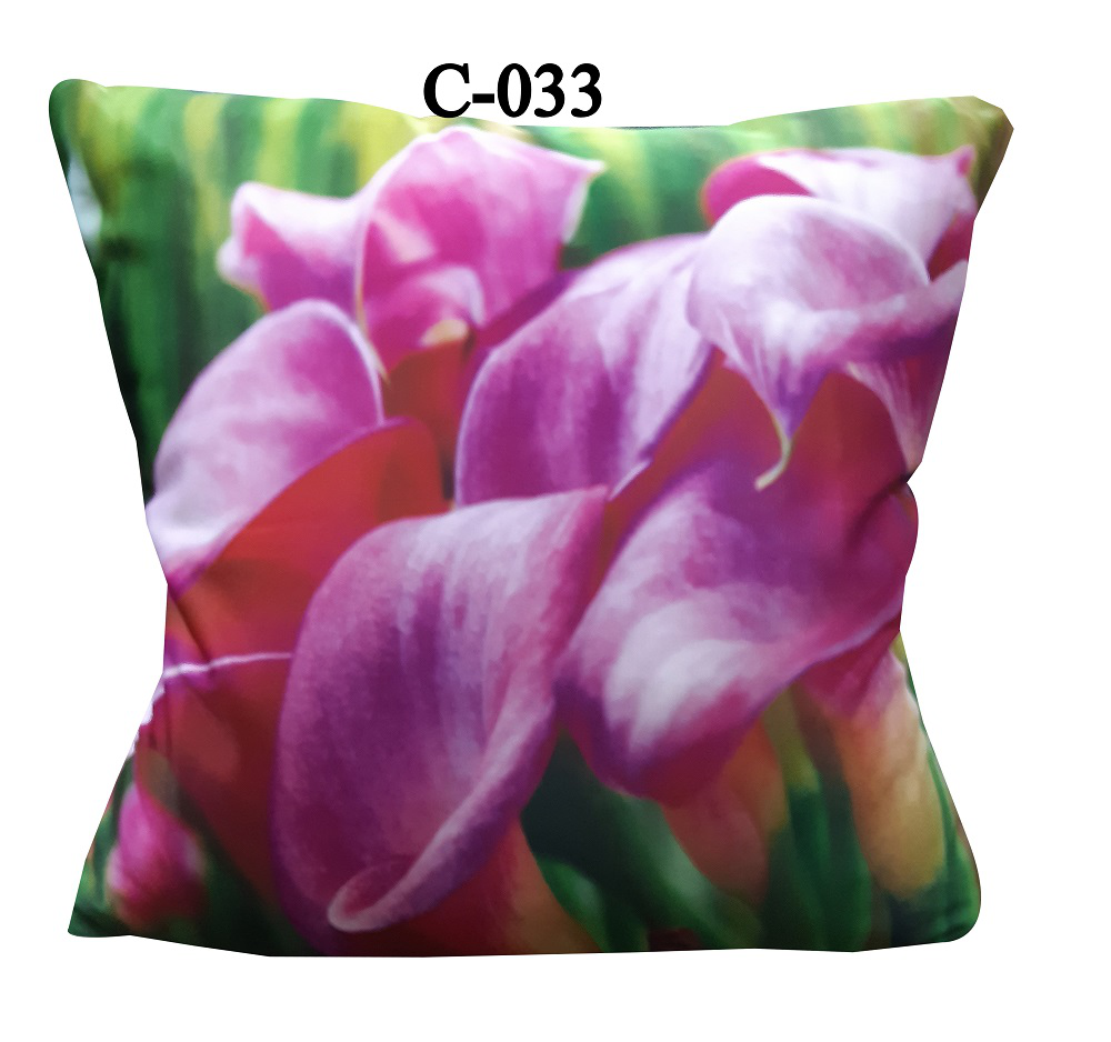 Digital Print Cushion Cover (2)