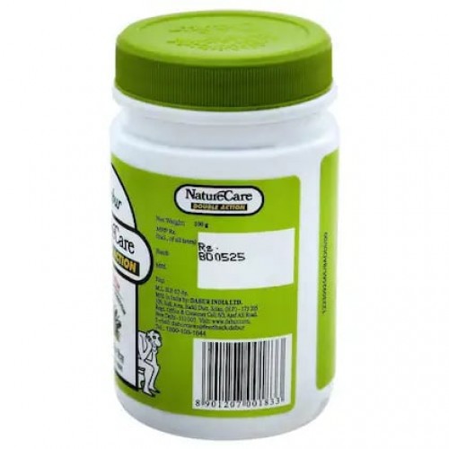 Nature Care Double Action Isabgol 100g