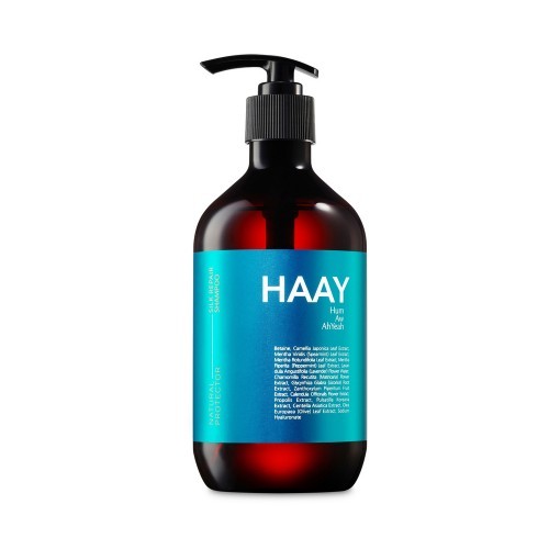 Haay Silk Repair Shampoo (500gm)