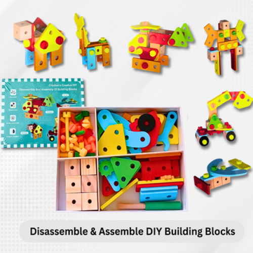 Disassemble and Assemble DIY Building Blocks