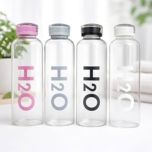 H2O Borosilicate Glass Water Bottle for Office, Home and Gym | Leak-Proof & BPA Free 700 ml