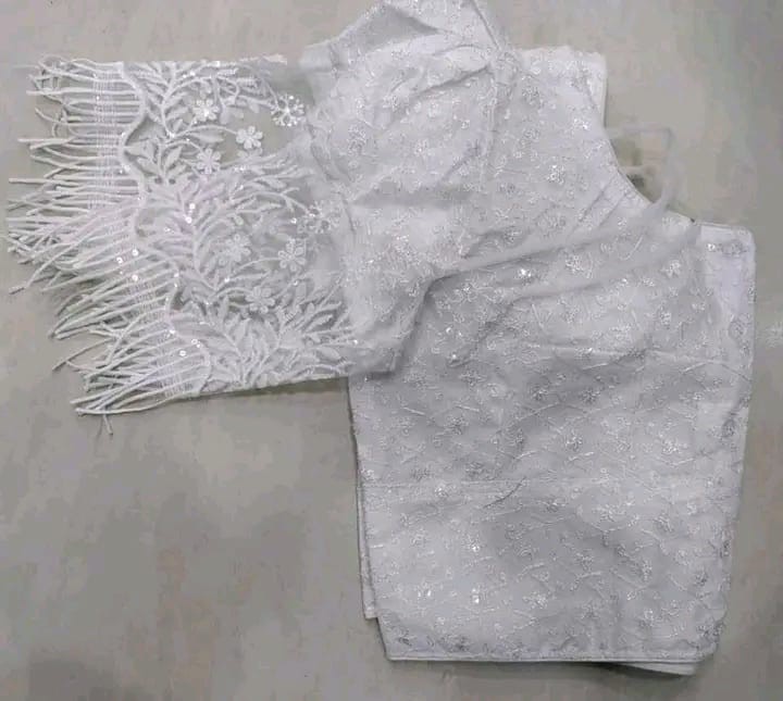 Blouse Back Design Modern