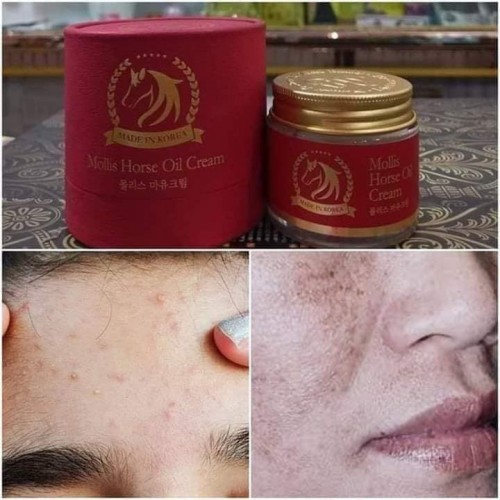 Mollis Horse Oil Cream