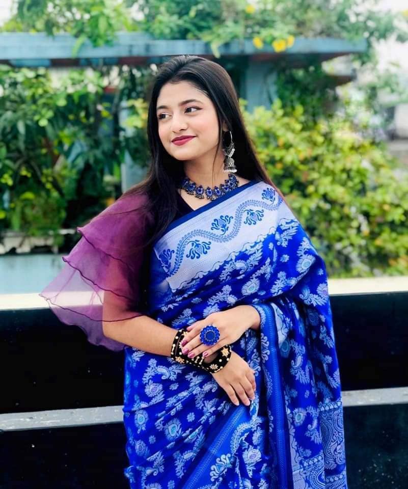 Soft Silk Katan Saree (1)