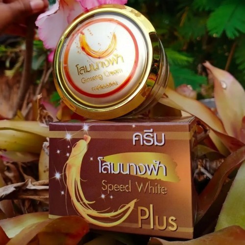 GINSENG SPEED WHITE NIGHT CREAM (20G) MADE IN THAILAND