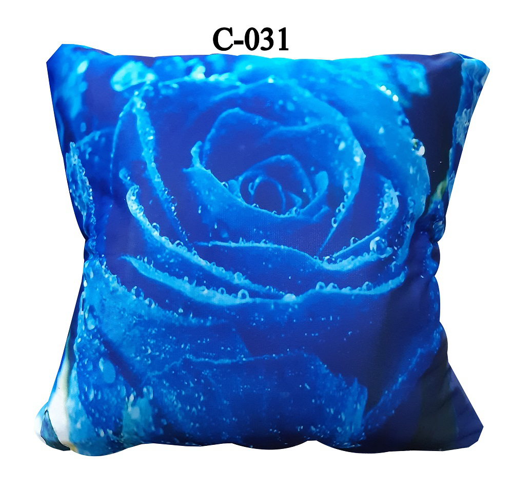 Digital Print Cushion Cover (3)