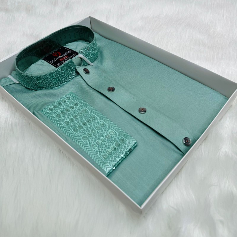 stylish sequence panjabi