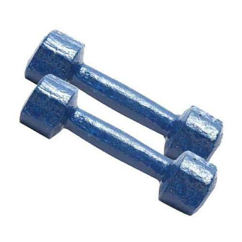 4kg Navy Blue Dumbbell Set - 1 pair Made in Bangladesh